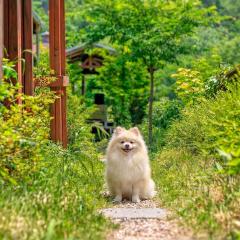 Gapyeong Swimteo Pet Pension