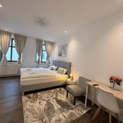 Apartmenthaus Döbeln Wohnung B Zentrum