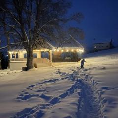 Casa cu copaci Romanian historical farmhouse