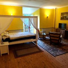 Château de Pyrénées Ruines et Logement