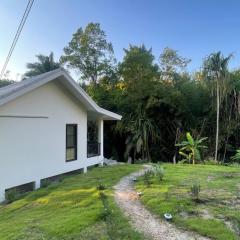 The Whispering Palm Coconut Lane