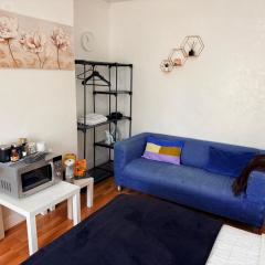 Blue Room Close To Wembley Stadium