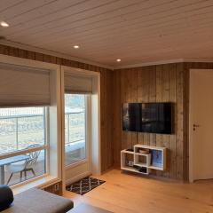 Apartment in the Center of Geilo
