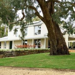 Bloomwood Mt Franklin near Daylesford