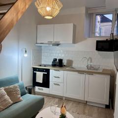 Petit Duplex Cosy centre-ville de Clermont