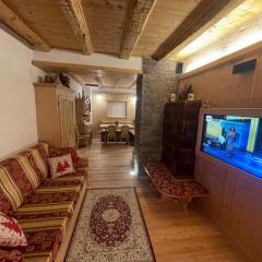Apartment in Val di Fiemme for 8 people