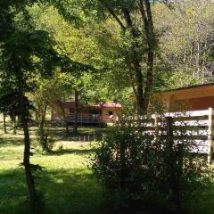 Camping Nature Lot'ge