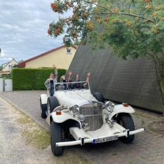 Finnhütte in Freest mit Sauna und umzäunten Grundstück