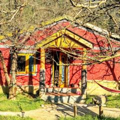 Apple Orchard Home by SiyaU