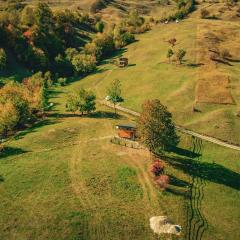 NorAtlas Heritage - Adults Only