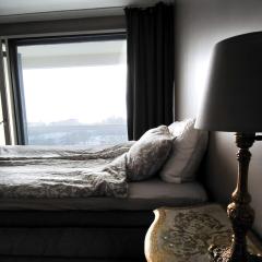 Big Apartment, 4 Bedrooms, Sauna, free parking - EV Charging