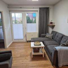 Kleiner Mövenschiß