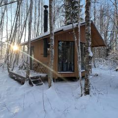 Paunküla Nature Villa