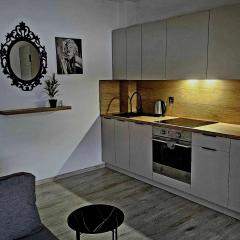 Apartament Studio Centrum