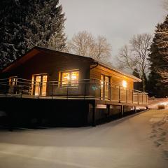 La Roanneuse - Cosy Chalet