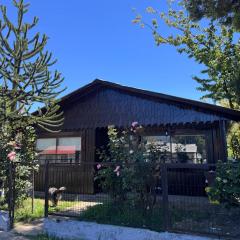 Casa Maya Modern central and pet friendly