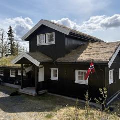 Modernized Log Cabin With Views Of The Mountains