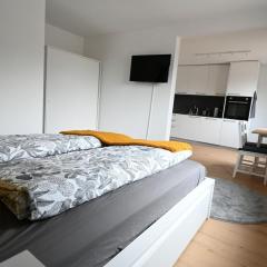 Sunny Renovated Alpine Apartment by Interlaken