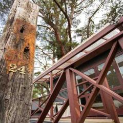 Mountain View Studio Apartment