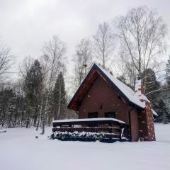 Domek w lesie DiABELSKi KOCiOŁEK