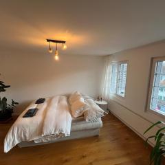 Central boutique apartment in Sempach's old town