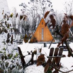 Scandinavisch boshuisje