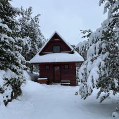 Chata Sauna Sosna