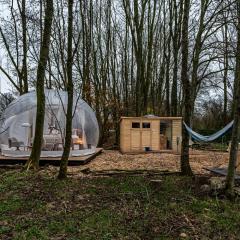 Bubbeltent in bos met hottub, 20m Amsterdam