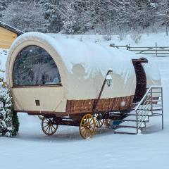 Nomad by Hora cu Brazi