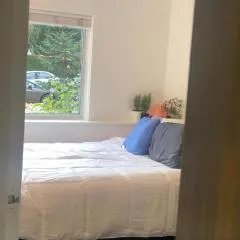 Quiet-comfy 3 bedroom house on a tree lined street in Kitsilano