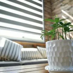 The Green Mile Field B&B