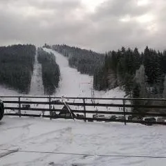 Apartmánek u Špičáku