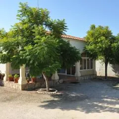 The House