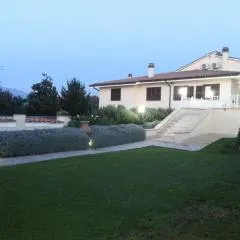 B&B Joy
