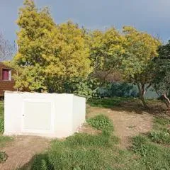 Mobil Home avec piscine