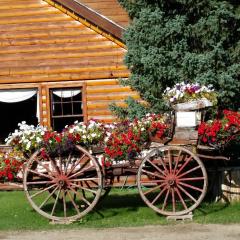 Daven Haven Lodge & Cabins