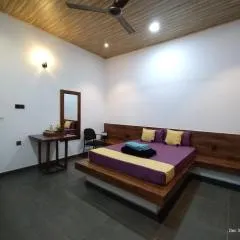 Wilpattu jungle safari and kalpitya dolphin safari guide