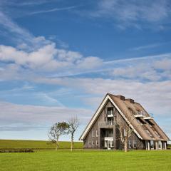 Modern large villa on the mudflats in Friesland