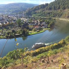 Romantisches Hirschhorn am Neckar