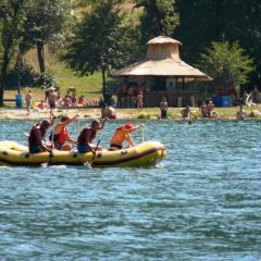 Bungalov camp Borasnica