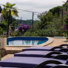 Apartments - Villa Ana