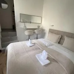 Micro Loft in Prime Zurich City Lake Business
