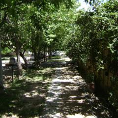 Departamento el Rosedal