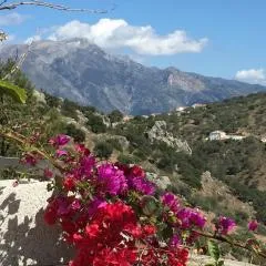 Loma Los Pelones 78