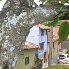 Casa Azul Rodiles
