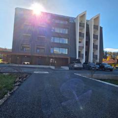 Wakero BSB Lux Appartment near city centre