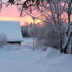Maatilamatkailu Jänisvaara