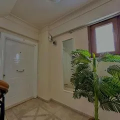Green Suite