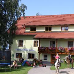 Bauernhof Pension Juri