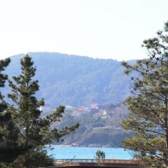 Apartamento Langosteira